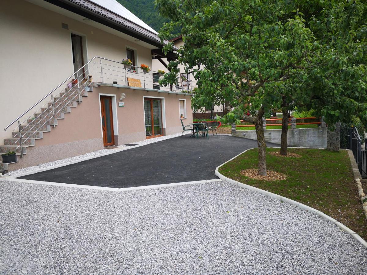 Ole Appartement Tolmin